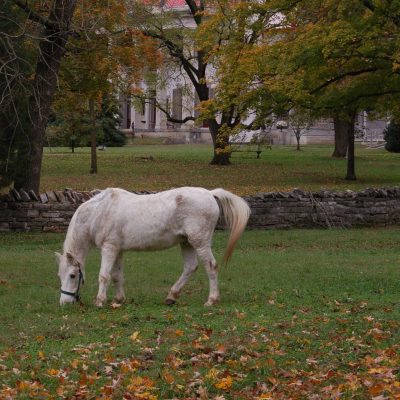 100 years of history