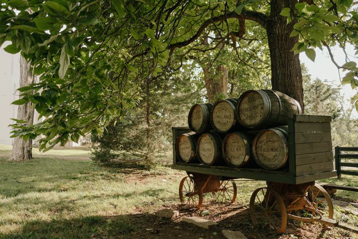 Wooden cart with barrels under a large tree in a grassy area.