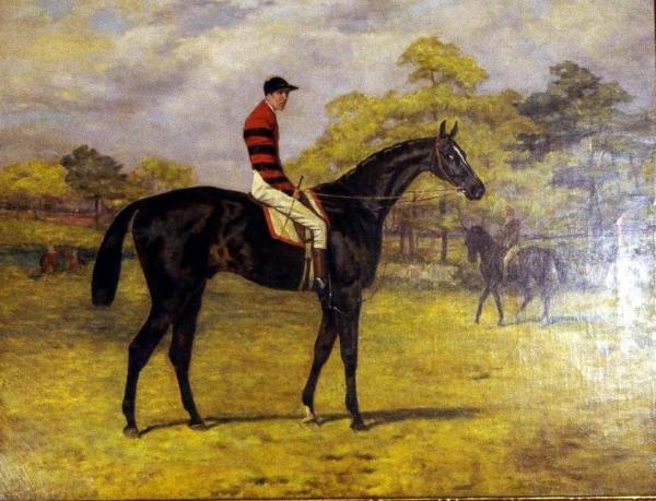 a person riding a horse in a field