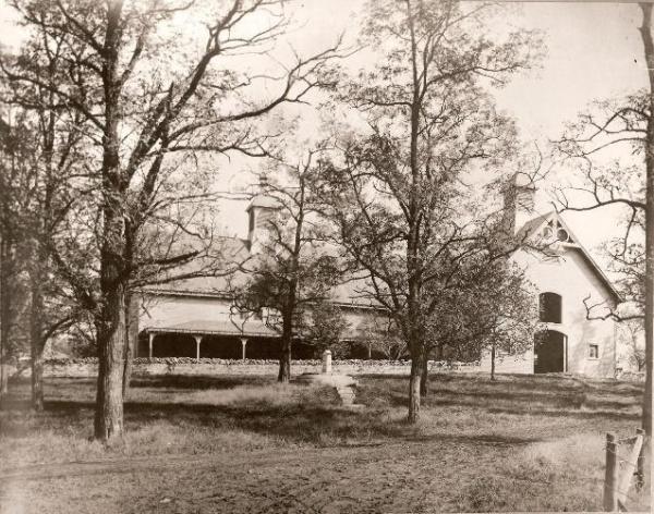 a bus parked in front of a tree