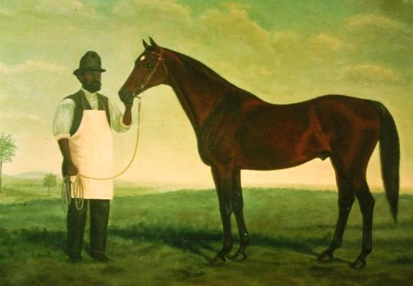 a brown horse standing on top of a grass covered field
