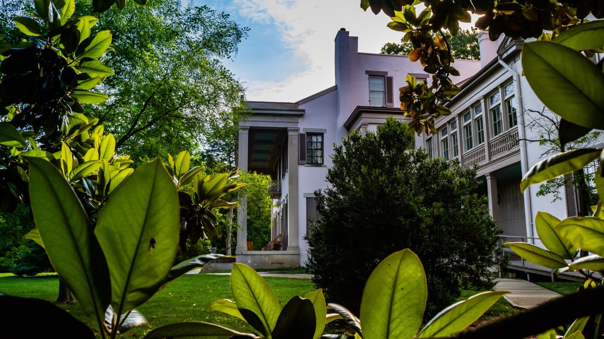 Mansion with Magnolia Leaves