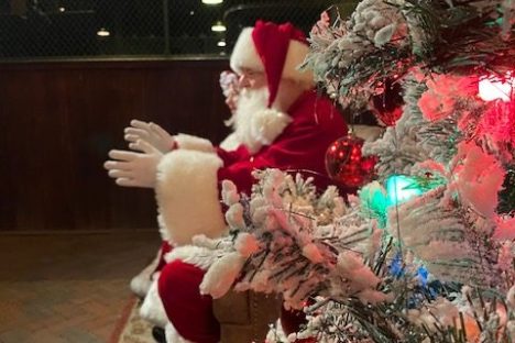 a vase of flowers on a table