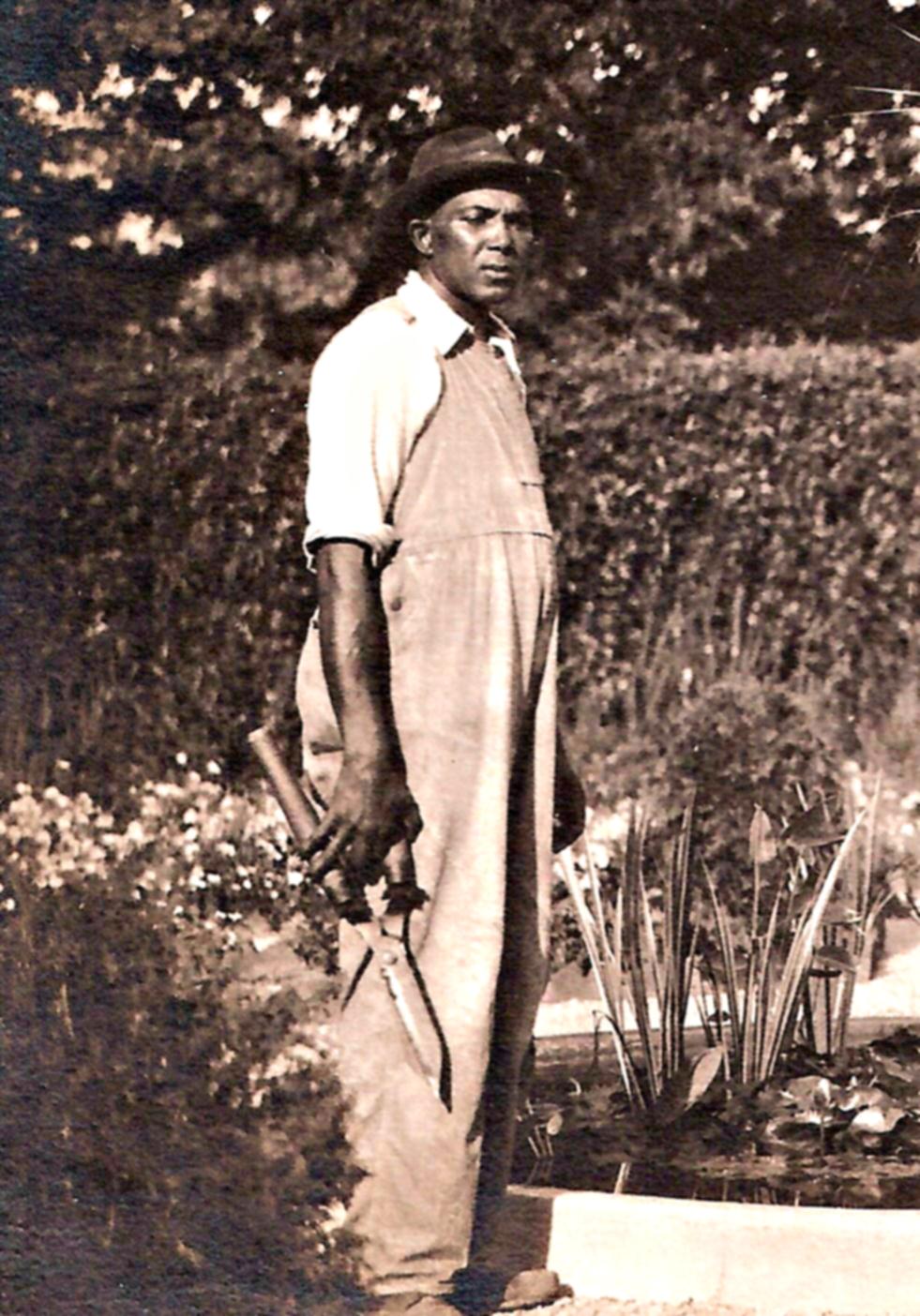 a man standing in front of a tree