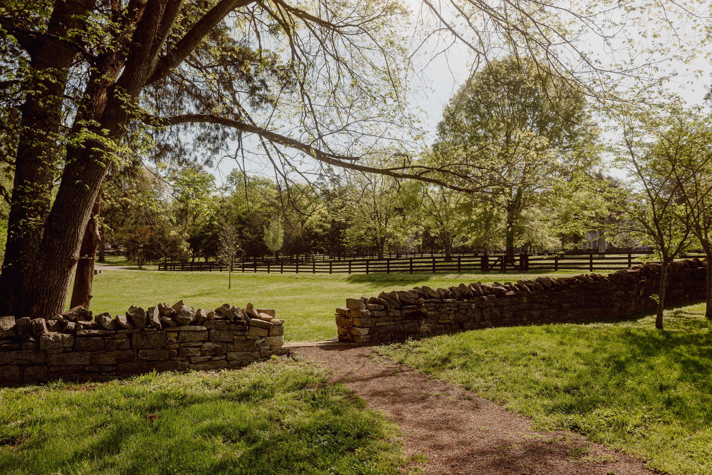 Battle at Belle Meade | Belle Meade Historic Site