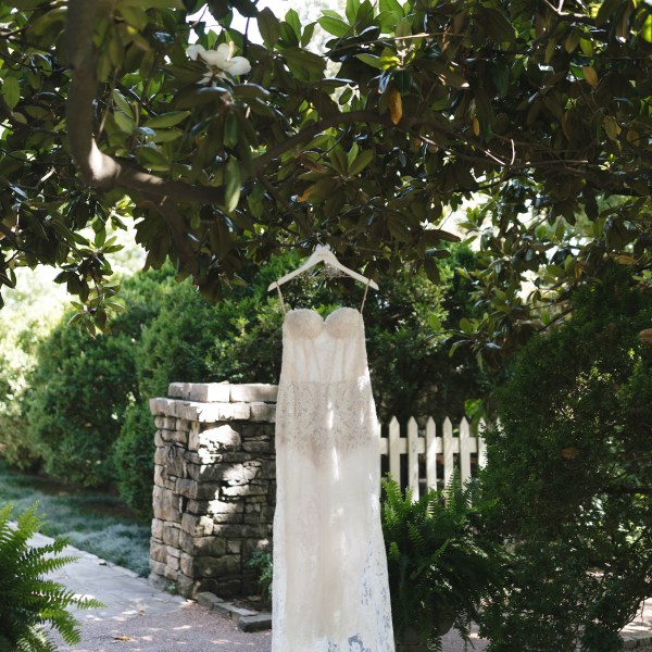 a close up of a tree