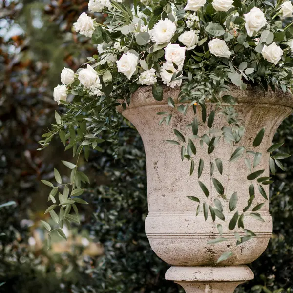 a vase with a flower on a plant