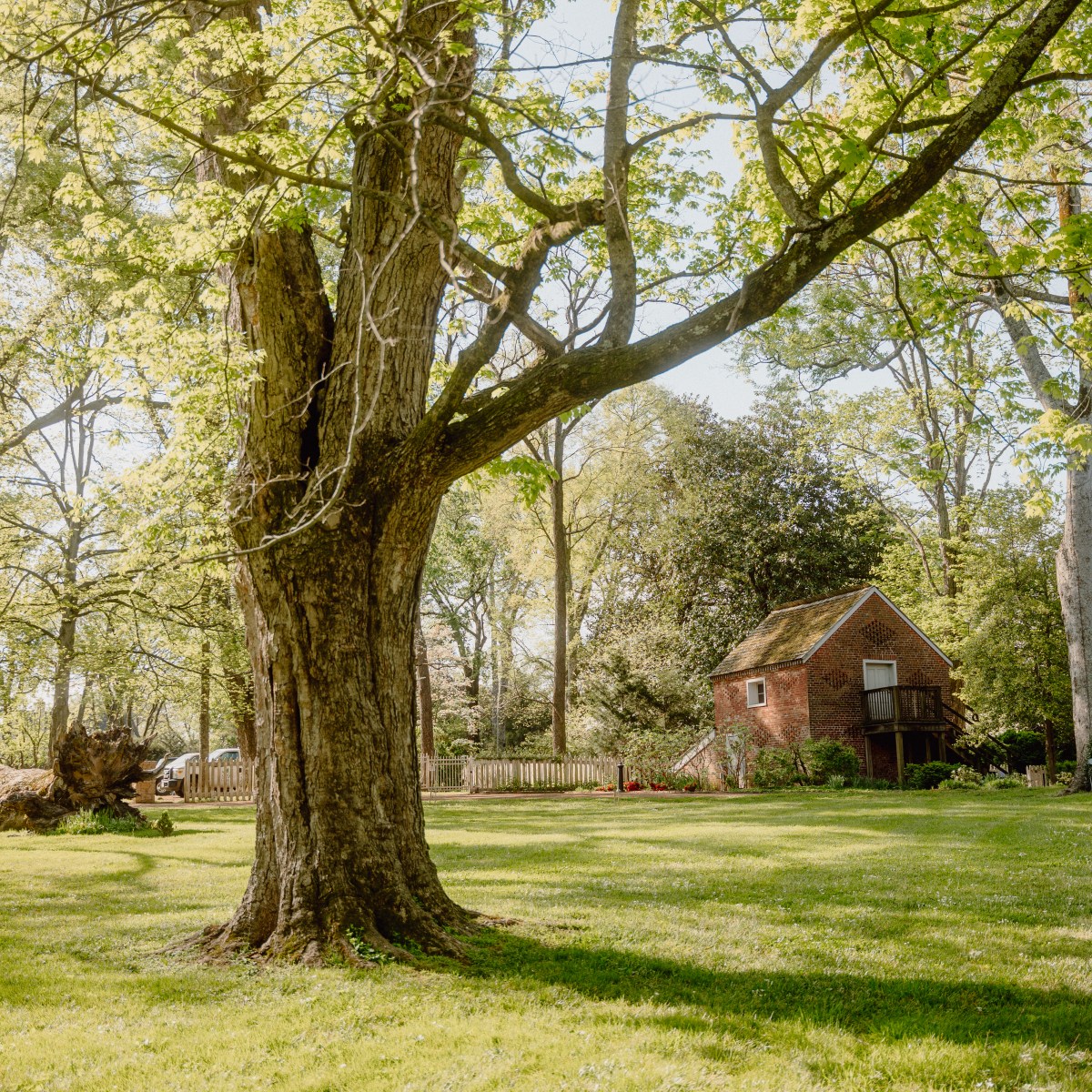 belle_meade_041524-147 belle_meade_041524-147