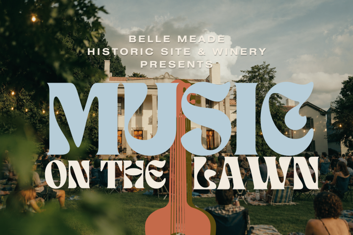 Music event poster with large text and a guitar graphic on a lawn background.