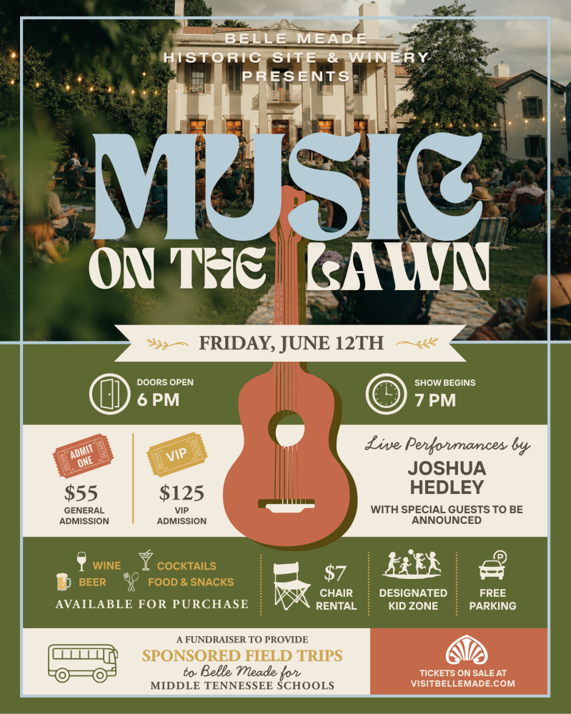 Music event poster featuring a guitar, date, and ticket details for an outdoor concert.