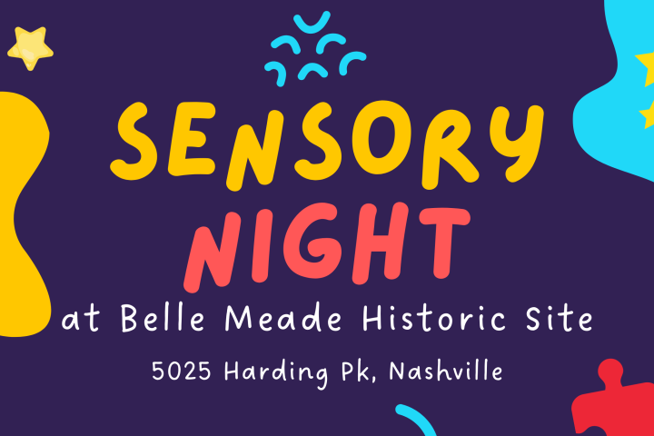 Colorful flyer for Sensory Night event on July 17, with puzzle pieces and event details.