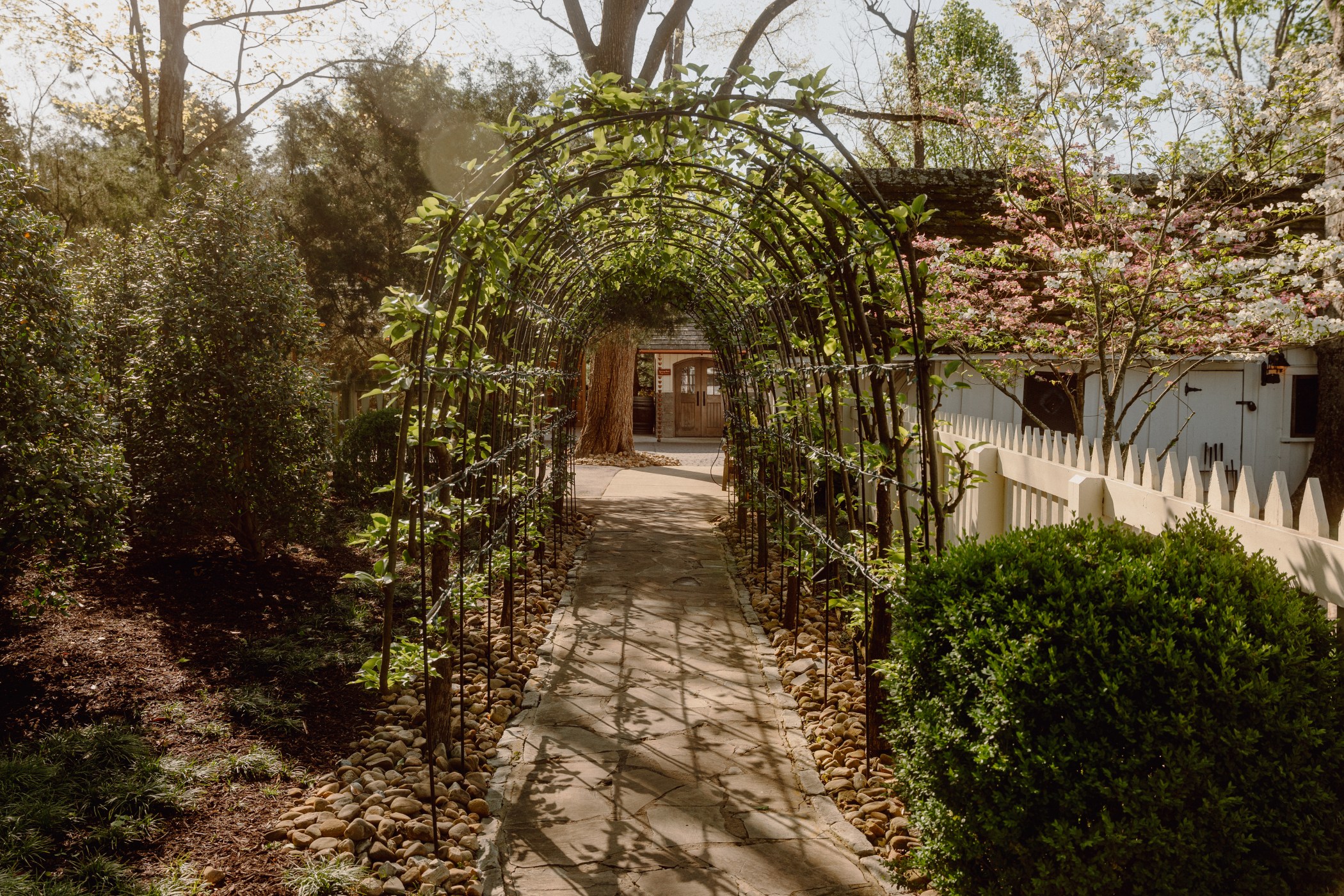 Belle Meade Historic Site & Winery — photo 4